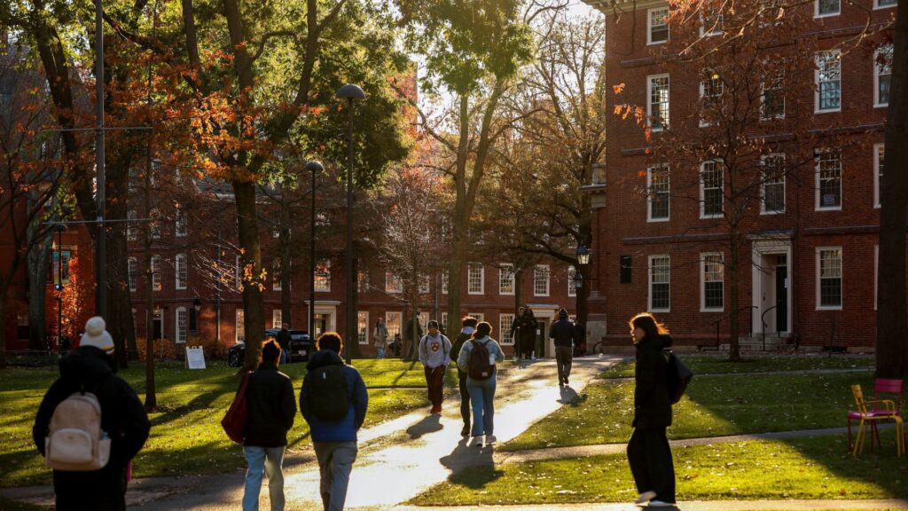 International student enrollment decline could cost $1 billion: Reports