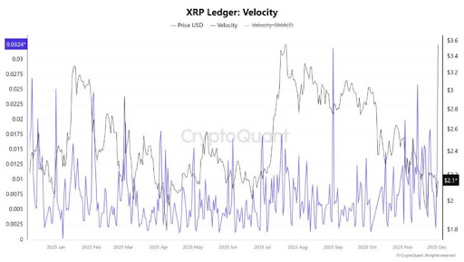 Analyst Compares Buying XRP Now To Buying NVIDIA Shares In 2000 At $0.35