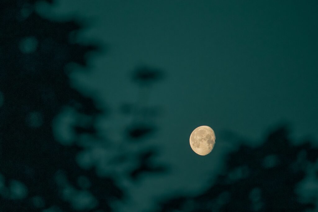 Bitcoin Headed For $200 Trillion? CEO Makes Bold Prediction